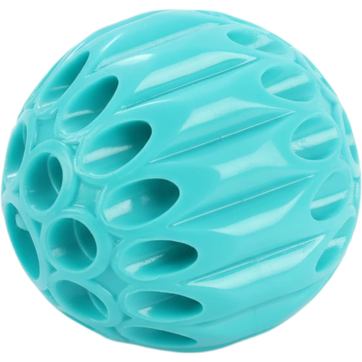 Squeaky Leek Ball Chew Toy for Dog