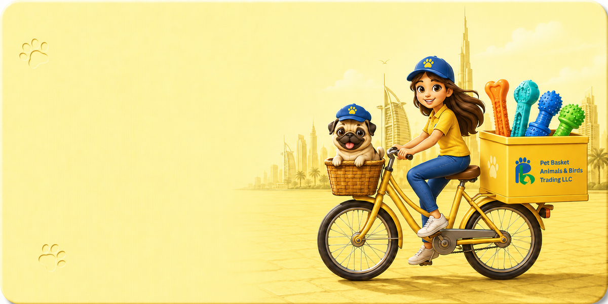 Free Shipping above AED 100
