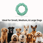 PET BASKET Ring Dog Chew Toy for Small, Medium, and Large Breeds - Durable, Eco-friendly, SGS Certified, Non-Toxic,TPR - Image 5
